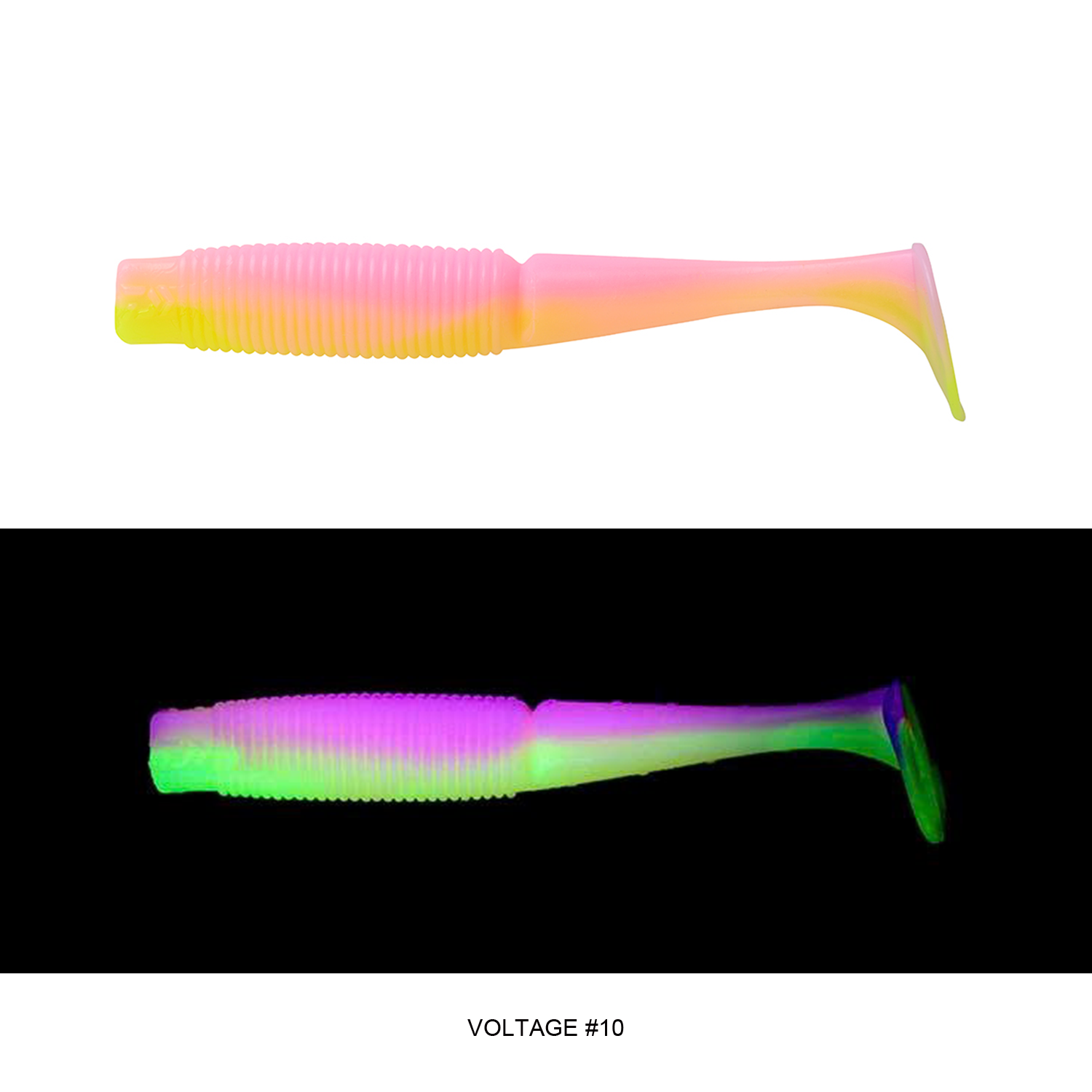 BAIT JUNKIE MINNOW | 2.5'' và 3.2''