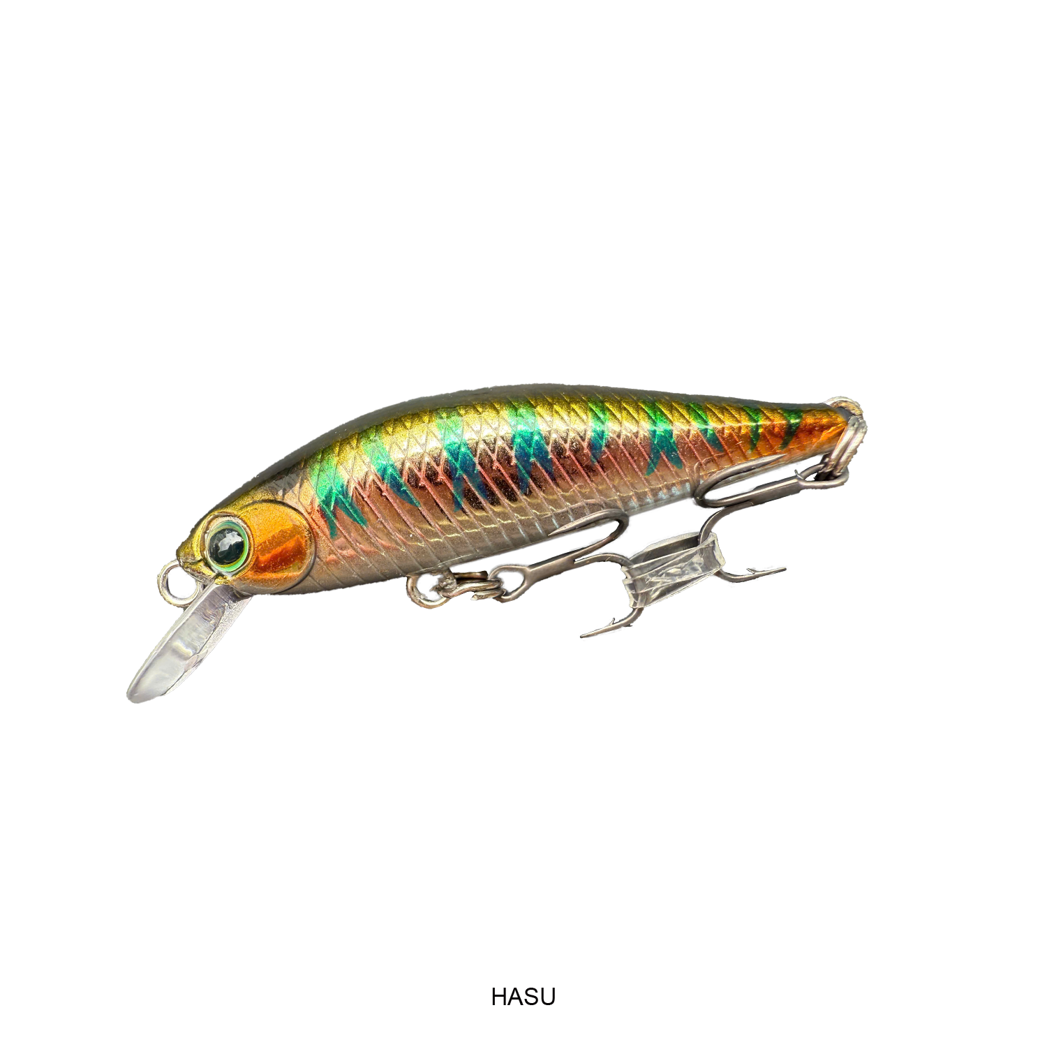 DR. MINNOW Ⅱ